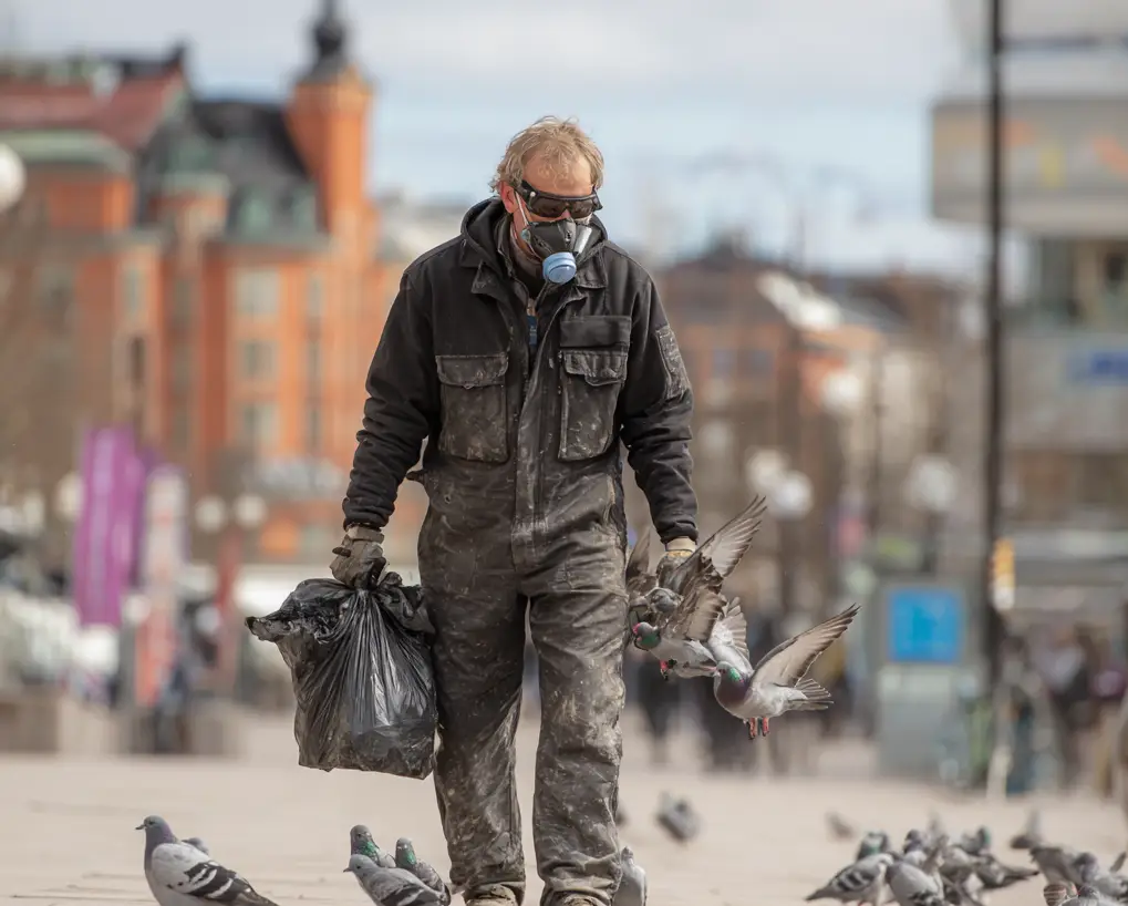 Fågelsanering Eskilstuna - Sanering av fågelspillning och desinficering
