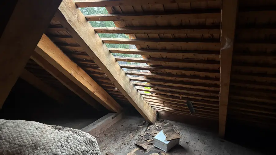 Takläggare renoverar takunderlag