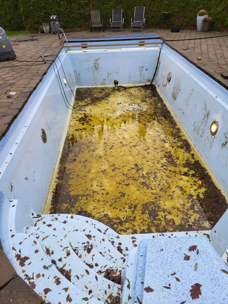 Pool och markyta före rengöring – algbeväxt
